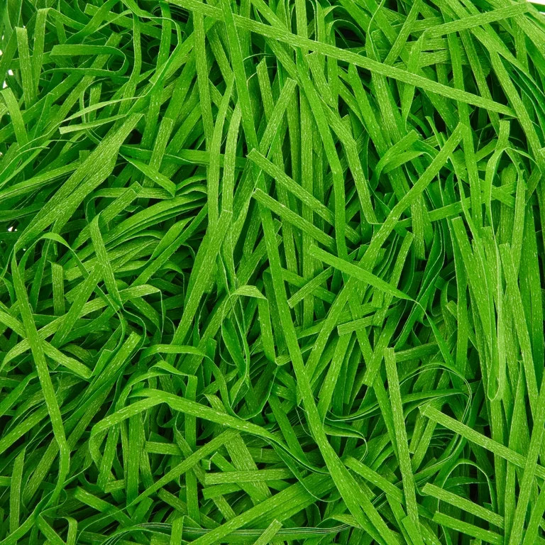 Straight Cut Paper Grass, Green, 2.25 oz, Easter by Way To Celebrate | Walmart (US)