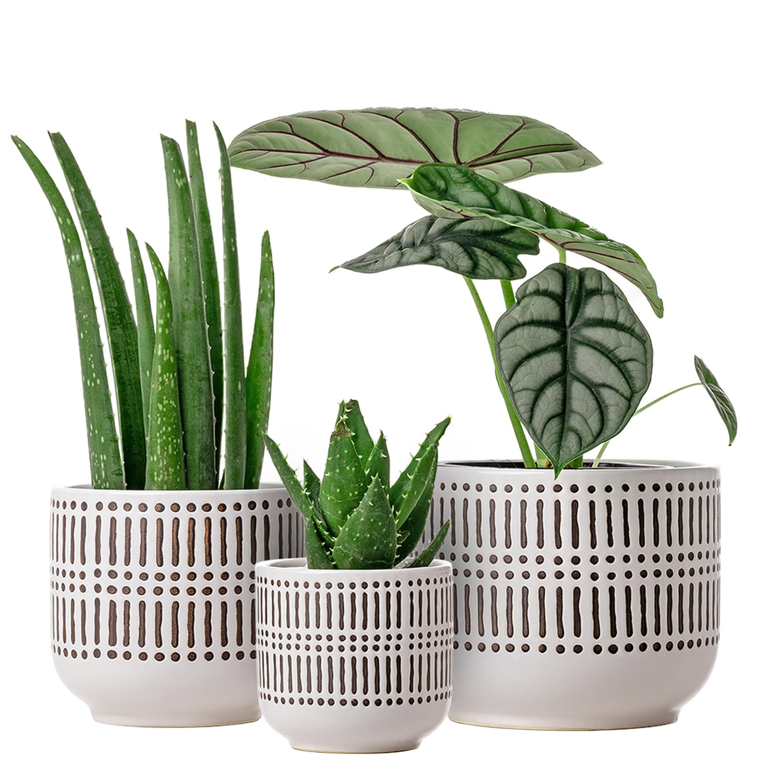 Docrin 3-Pack Ceramic Planters Set - 6.5"+5.3"+4" Dual-Tone Flower Pots with Drainage Holes, Mode... | Amazon (US)