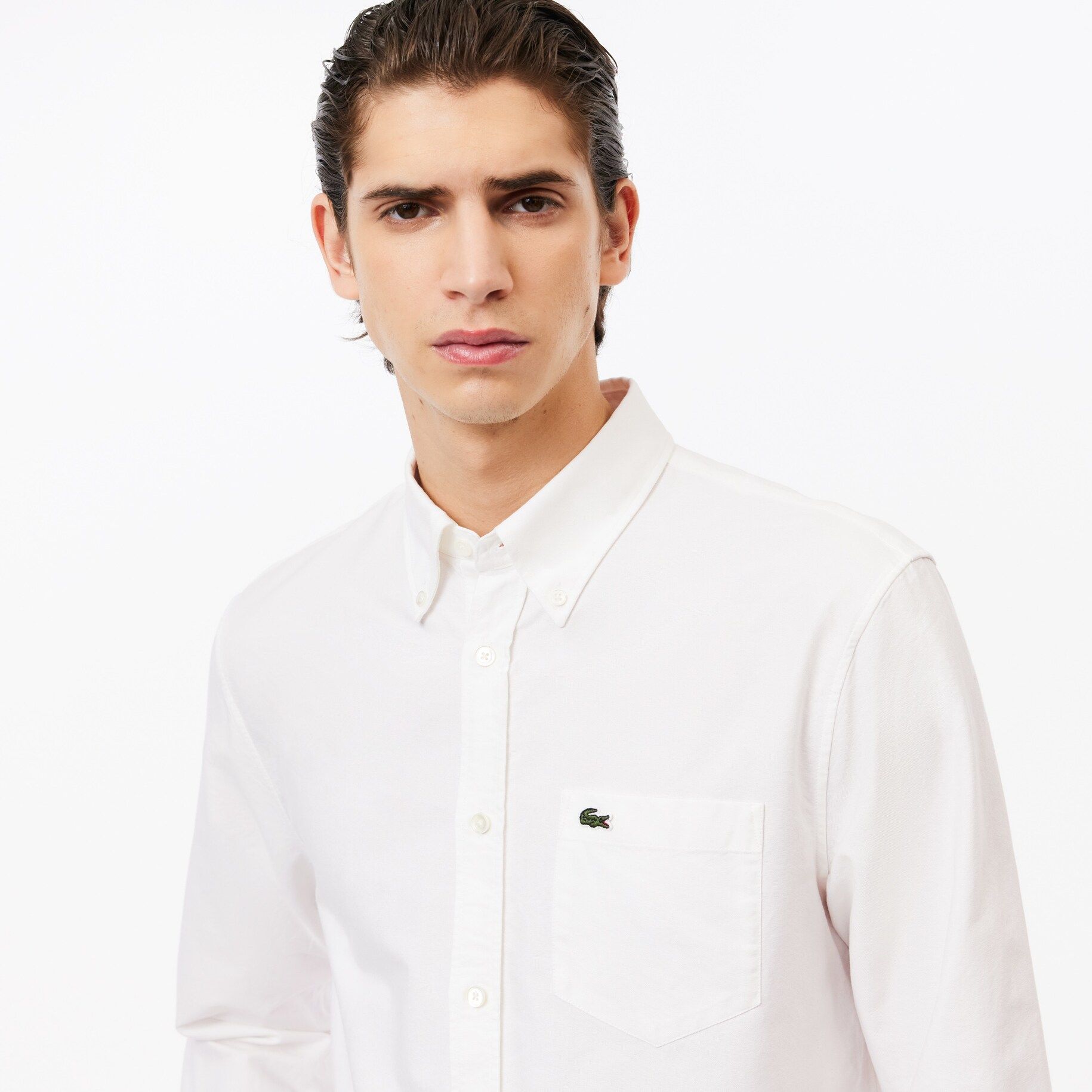 Men's Regular Fit Cotton Oxford Shirt | Lacoste (US)