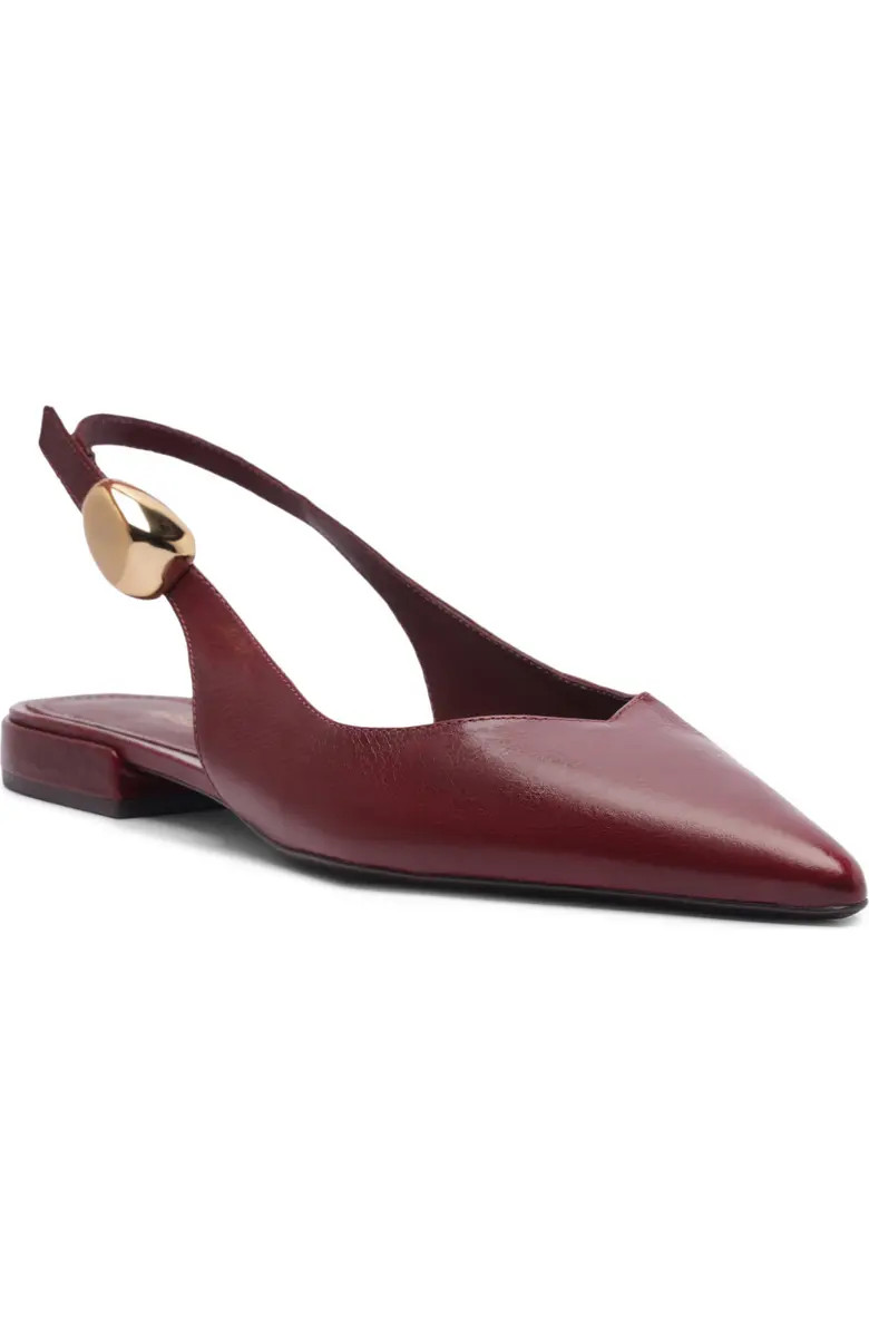 Farrah Slingback Pointed Toe Flat (Women) | Nordstrom