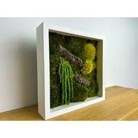 Moss Picture in White Frame, Mosswall, Art, Home Decoration | Etsy (US)