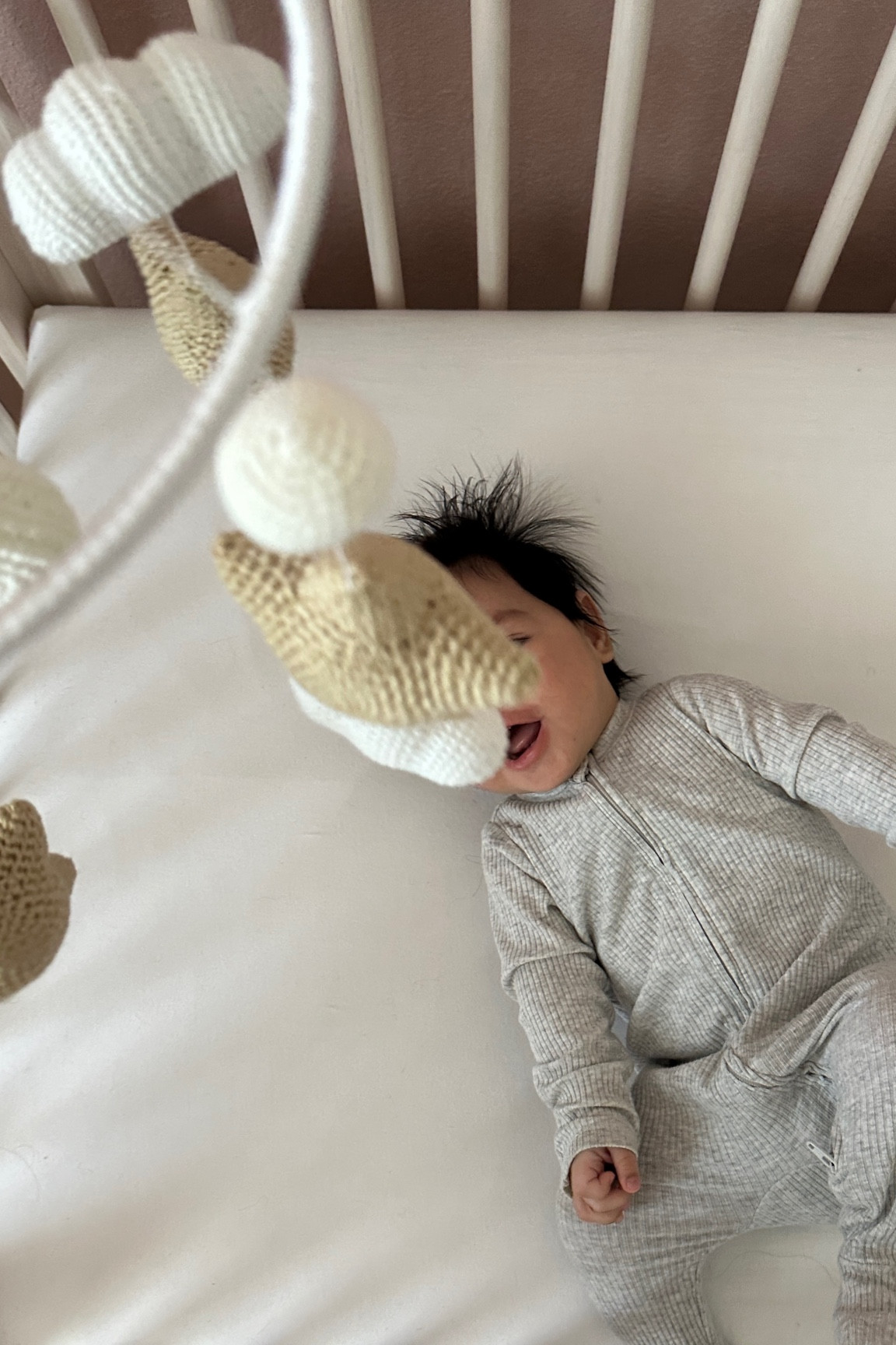 Top 5 Newborn Essentials 

#LTKBaby #LTKBump #LTKFamily