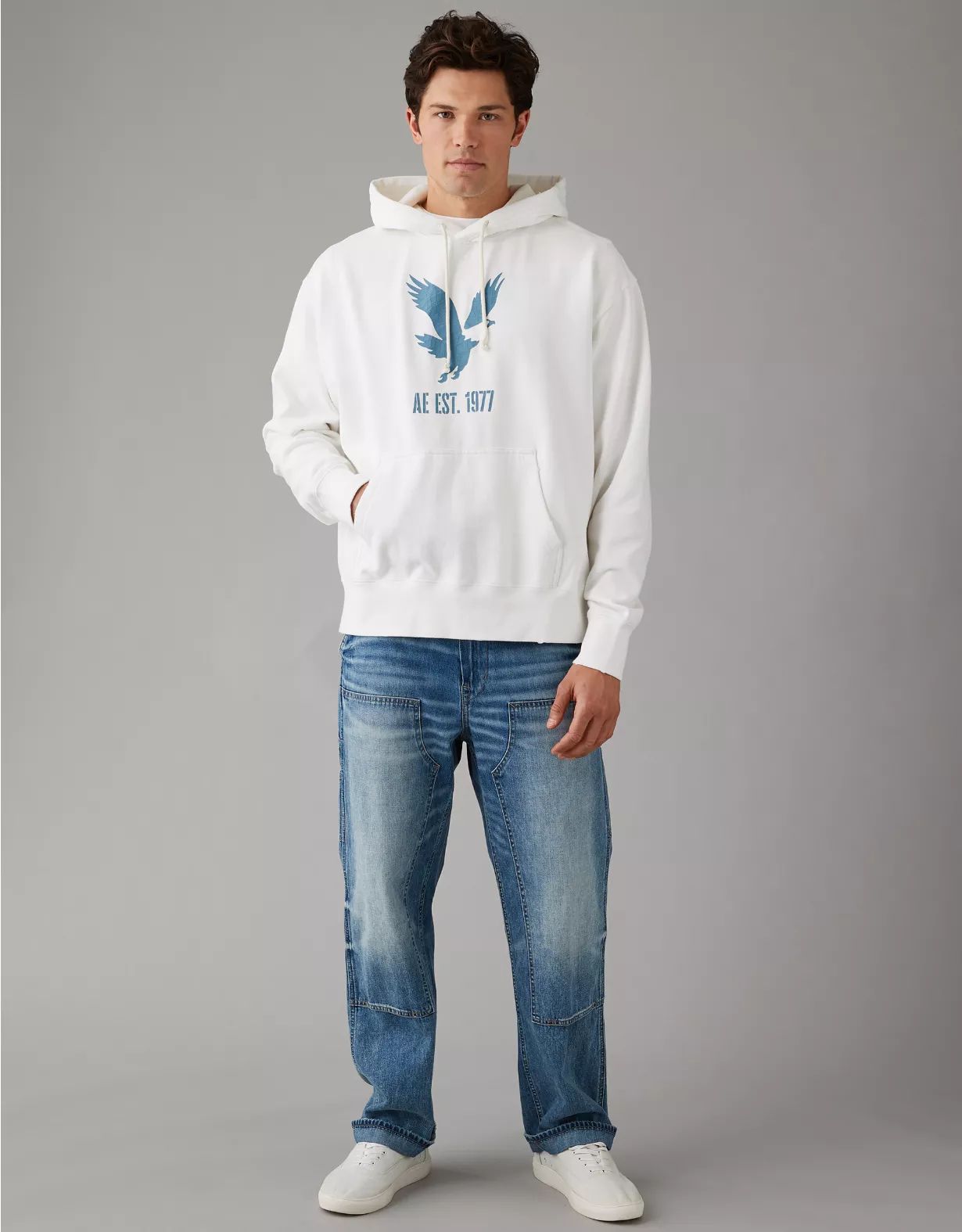 AE Heritage Graphic Pullover Hoodie | American Eagle Outfitters (US & CA)
