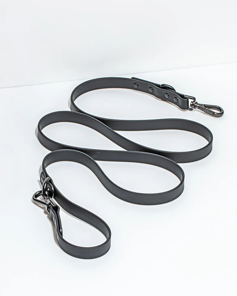 Leash | Wild One