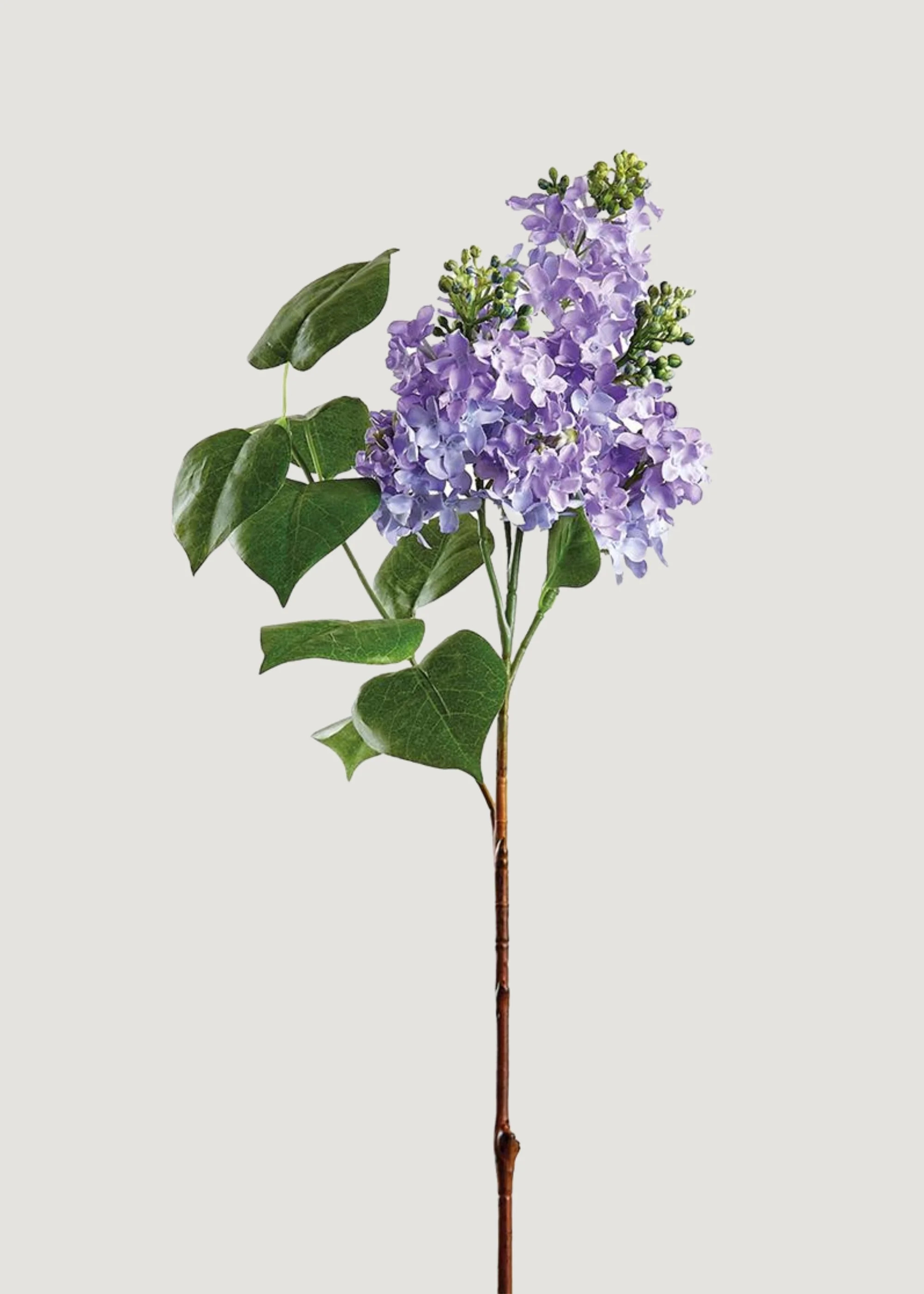 Faux Lilac Branch in Lavender | Artificial Spring Flowers | Afloral | Afloral