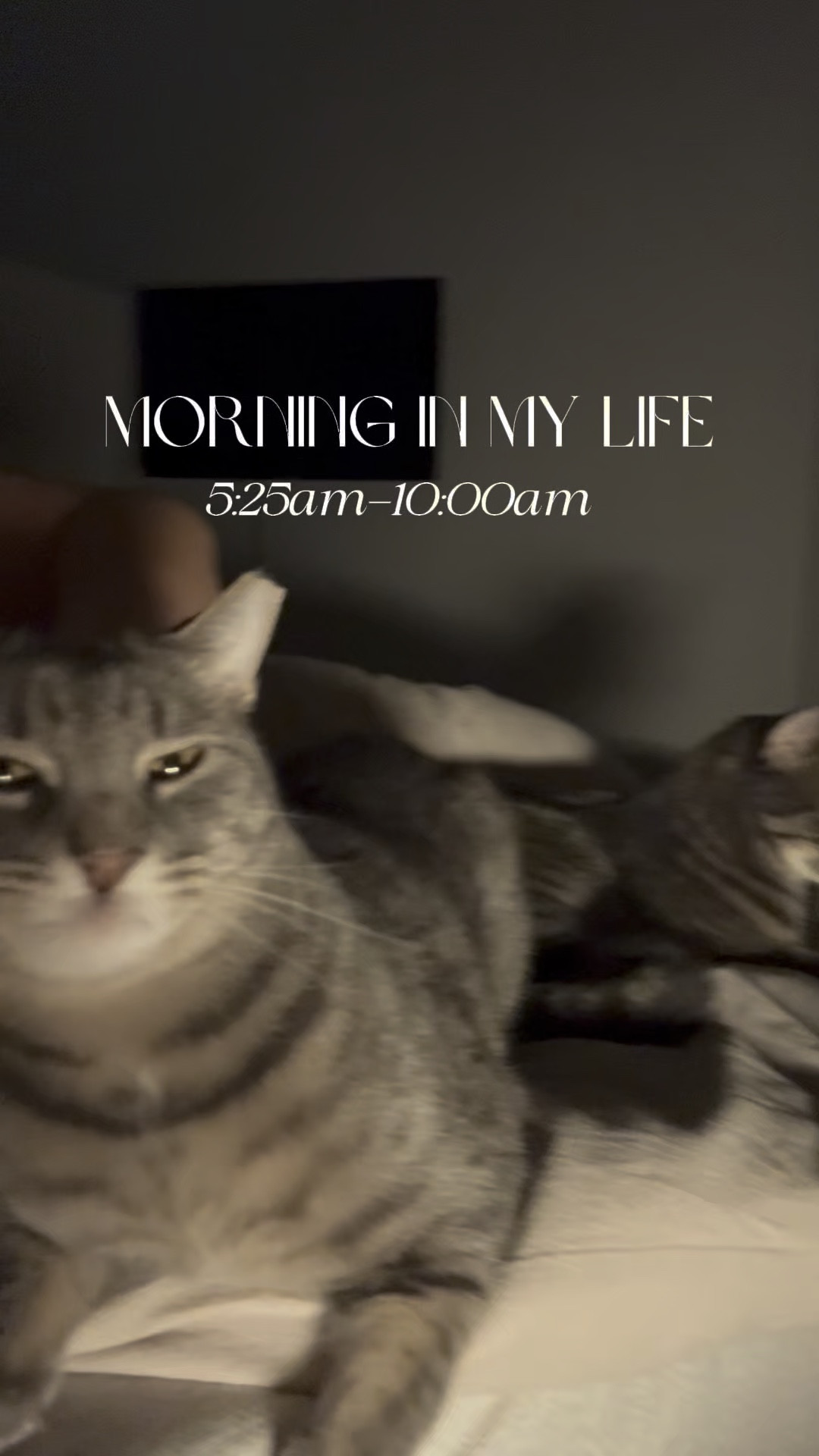 Todays vlog! 

#LTKFindsUnder100 #LTKFitness #LTKWatchNow