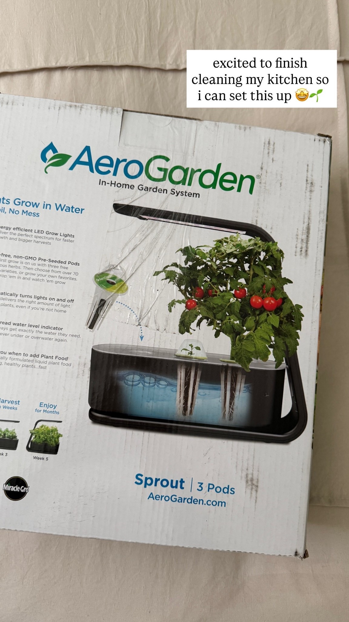 @officialaerogarden  excited to finish cleaning my kitchen so i can set this up 🤩🌱

#LTKSaleAlert #LTKHome #LTKfoodie