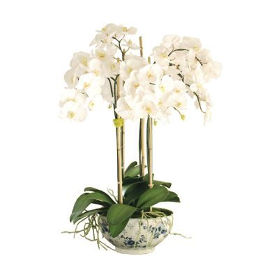 Phalaenopsis in Rose Trellis Vase | Frontgate | Frontgate