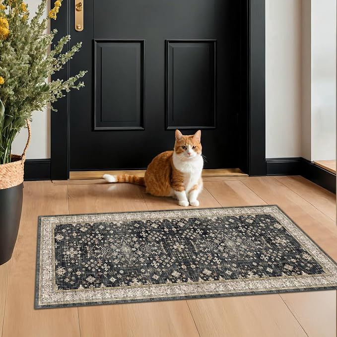 2x4 Entryway Runner Rugs, Small Runners for Kitchen, Door Mat Indoor Entrance, Bathroom, Non-Slip... | Amazon (US)