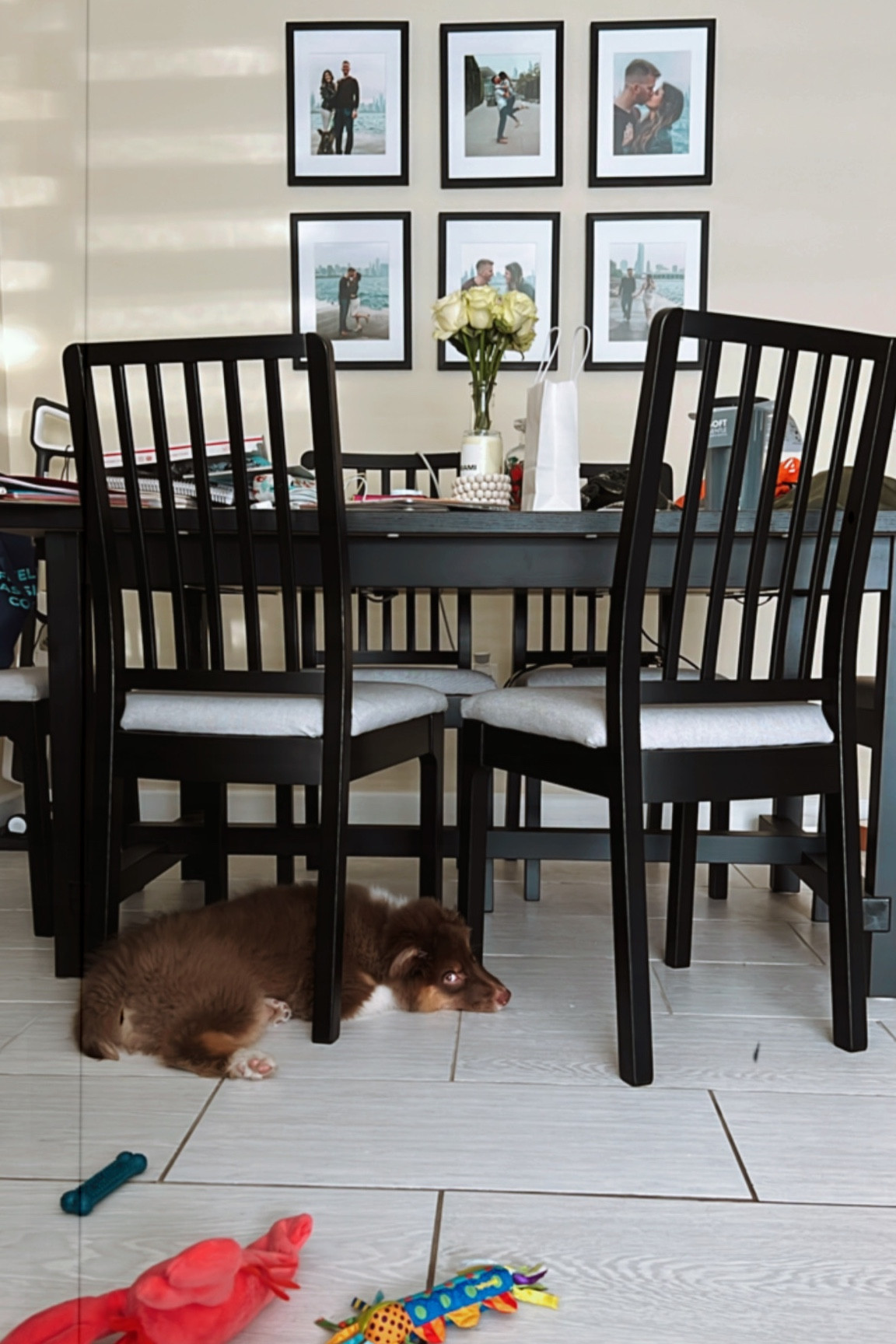 views from our dining space featuring Mango, engagement photos, & a messy table

#pet #dog #puppy #home #decor 

#LTKfamily #LTKhome