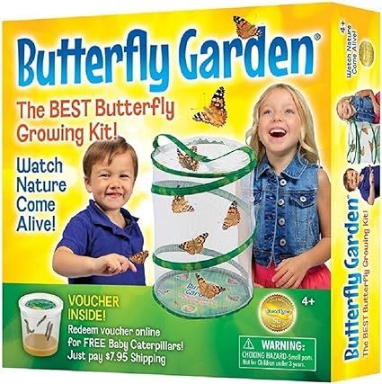 Insect Lore - Butterfly Growing Kit - With Voucher to Redeem Caterpillars Later | Amazon (US)