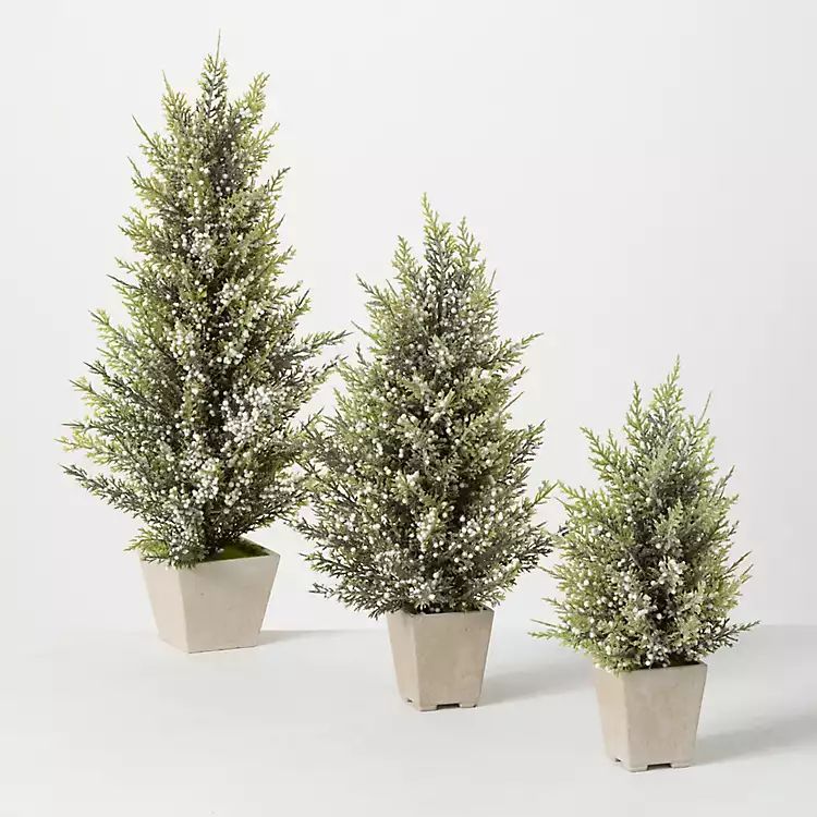 Flocked Pine Berry Mini Christmas Trees, Set of 3 | Kirkland's Home