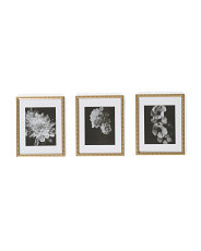 3pc 11x14 Beaded Edge Wall Picture Frames | TJ Maxx