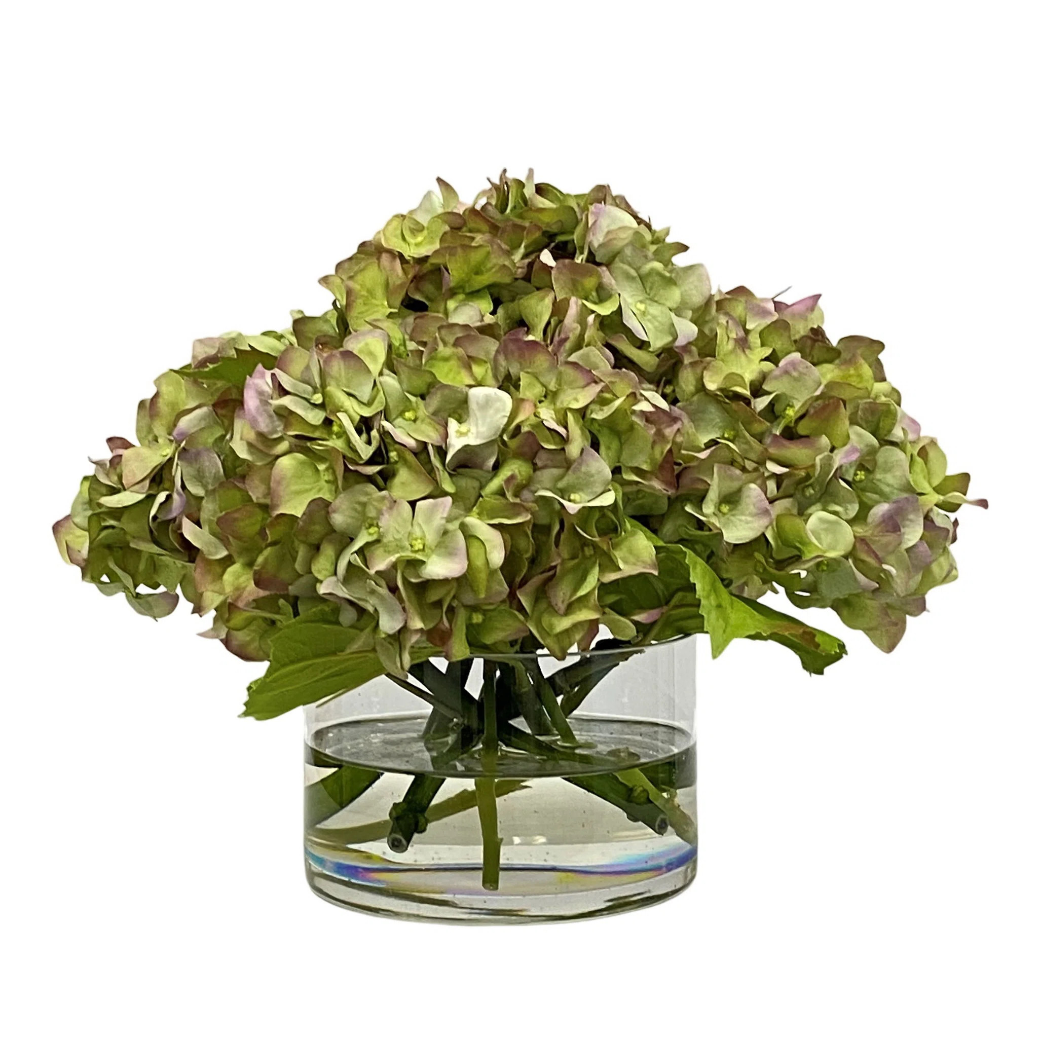 HYDRANGEA IN CYLINDER | Birch Lane