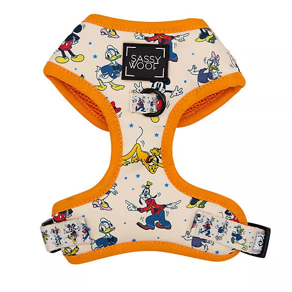 Sassy Woof Disney Minnie Mouse & Daisy Duck Dog Collar, dog Collars