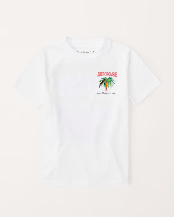 boys imagery logo graphic tee | boys new arrivals | Abercrombie.com | Abercrombie & Fitch (US)