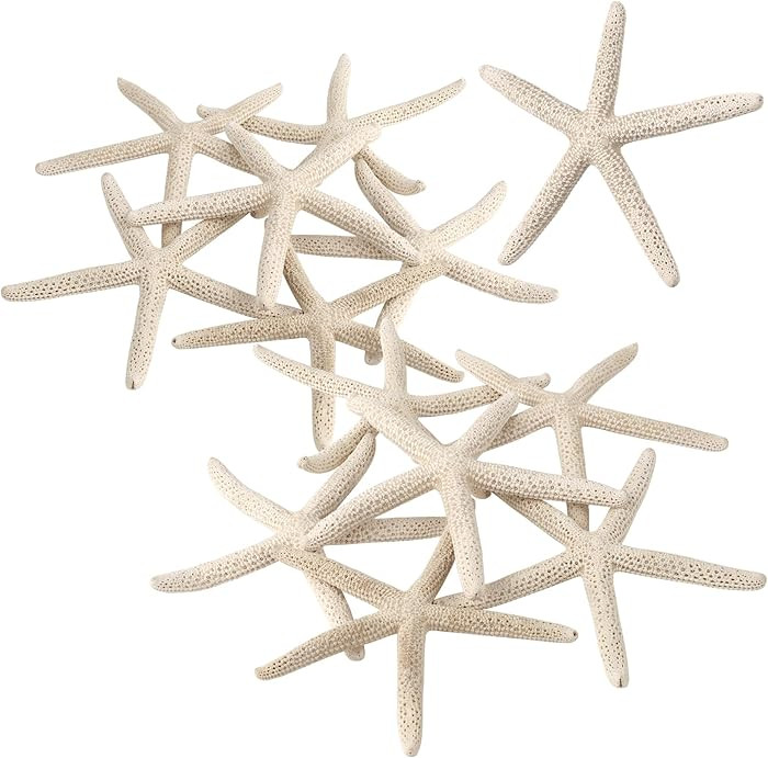 PPCLION 12 PCS Natural Finger Starfish 3-4" for Crafts Making Beach Theme Party Wedding Decoratio... | Amazon (US)
