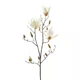 White Magnolia Branch Stem by Ashland® | Michaels | Michaels Stores