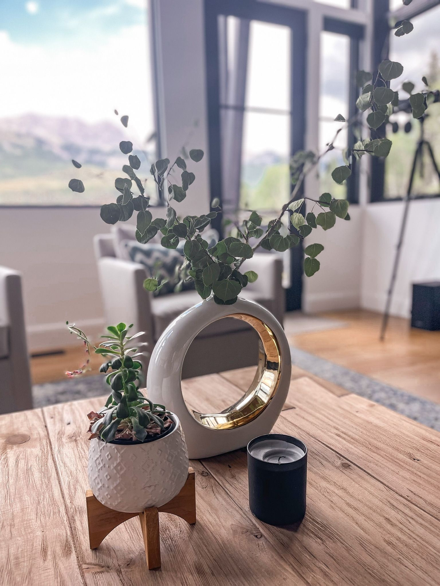 One of those areas that always seems to be tricky is your coffee table. While there needs to be room for the basics like the TV remote, um…a cup of coffee, and maybe a few pairs of bare feet (#boymom), you also want your coffee table to look elegant. Erin has beautiful coasters, a vase, candle, potted plant and books too. 

~Team Busbee

#LTKhome