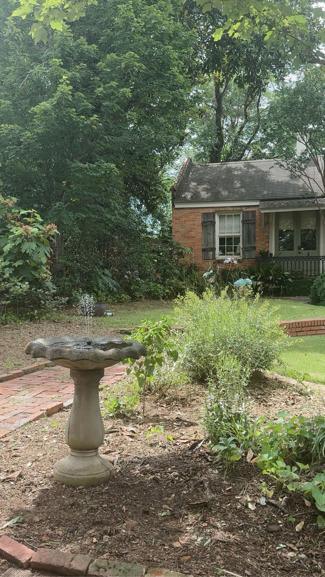 Seriously the easiest garden DIY! Turn anything that holds water into a fountain in minutes with this $10 solar fountain. No tools, no special skills (can confirm, because I did it lol). Also highly recommend dropping a copper disc to your bird baths to inhibit growth of bacteria, algae and mold—for humid Georgia summers this is a MUST!

Happy summer solstice, beauties! ☀️🕶️😘

#LTKHome #LTKSeasonal #LTKActive