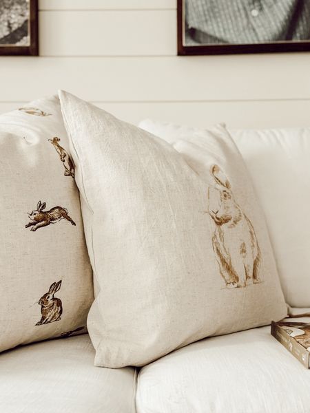 The cutest bunny pillows from the new Studio McGee collection.🐇

#LTKstyletip #LTKfindsunder50 #LTKhome