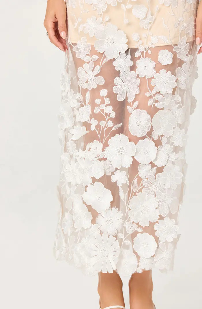 ASTR the Label Tanisha 3D Floral Appliqu\u00e9 Semi Sheer Midi Dress | Nordstrom | Nordstrom