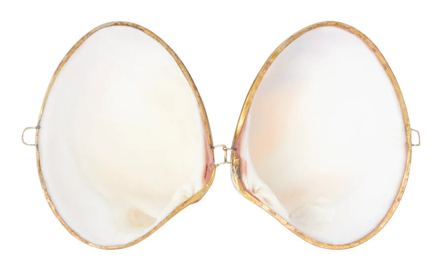 Clam Stash Box | Jayson Home