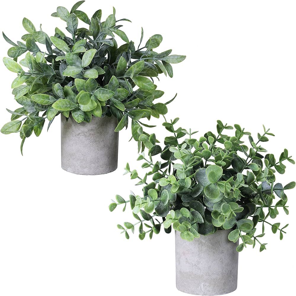 Set of 2 Faux Mini Potted Plants Artificial Eucalyptus Boxwood Plants in Pots Fake Greenery Arran... | Amazon (US)