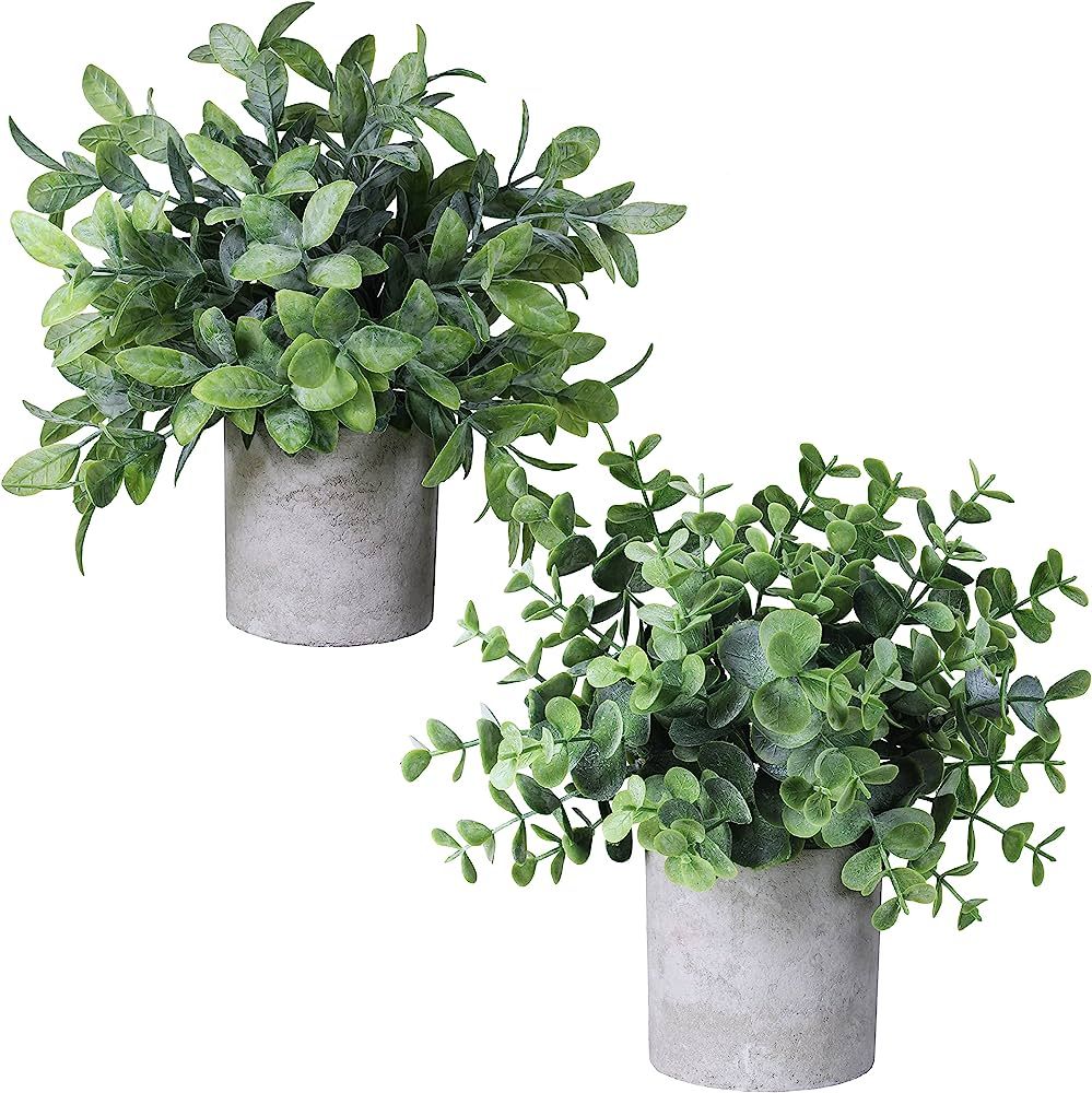Set of 2 Faux Mini Potted Plants Artificial Eucalyptus Boxwood Plants in Pots Fake Greenery Arran... | Amazon (US)