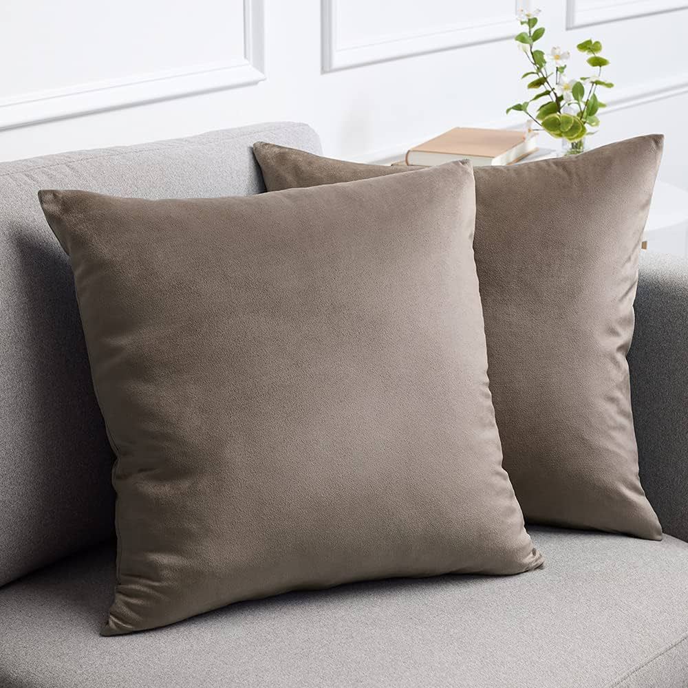 Amazon.com: lalaLOOM Velvet Throw Pillow Cases, Set of 2, Softest Accent Case for Pillows, Decora... | Amazon (US)
