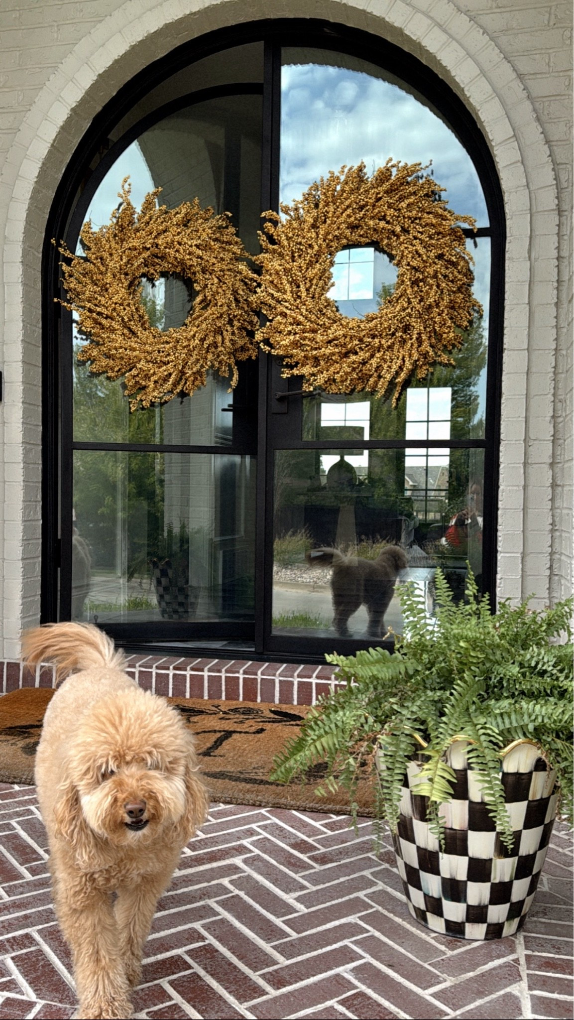 My fall wreaths!