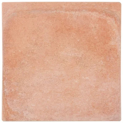Burgos 14x14 Matte Terracotta Look Porcelain Tile | Wayfair North America