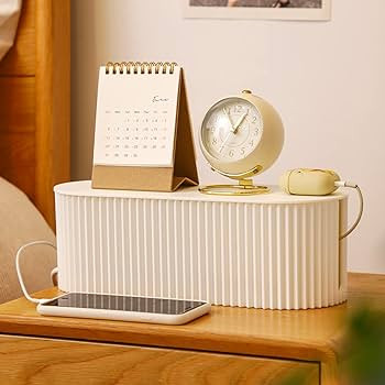 FABROK 2 Pack Cable Management Box with 20 Cable Ties, Cable Organizer Box for Power Strips, Surg... | Amazon (US)