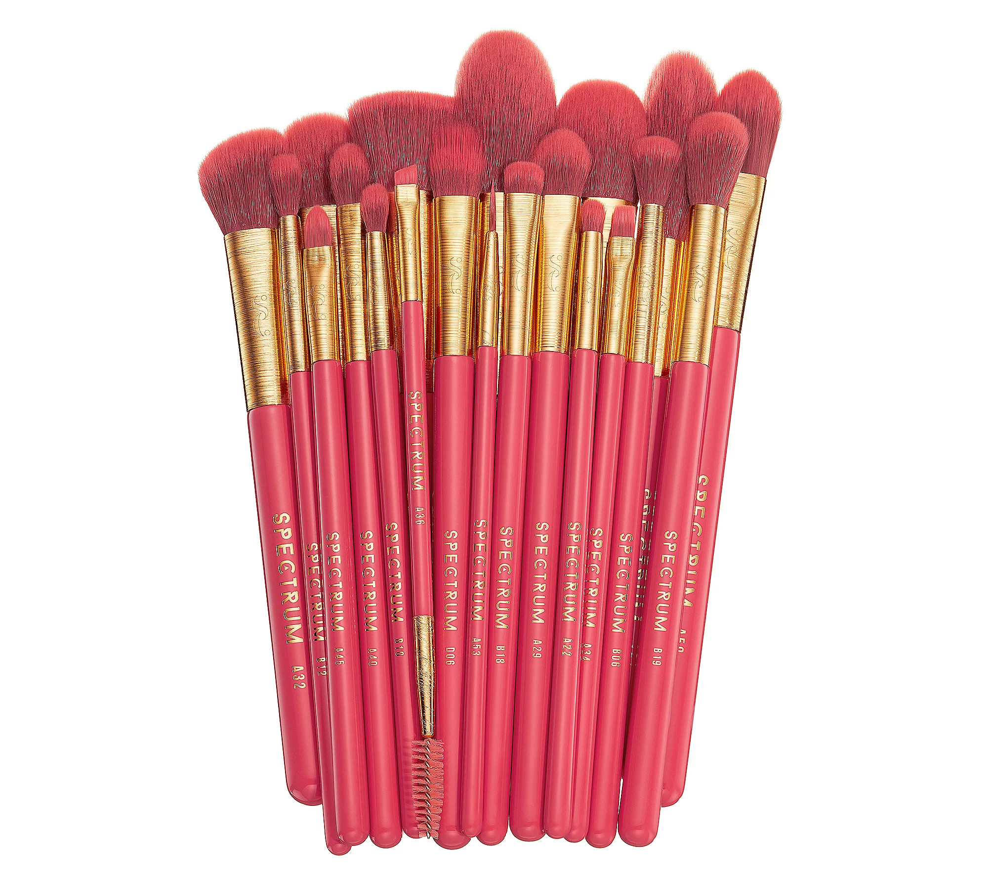 Spectrum Deluxe 20-pc Pro Brush Set | QVC