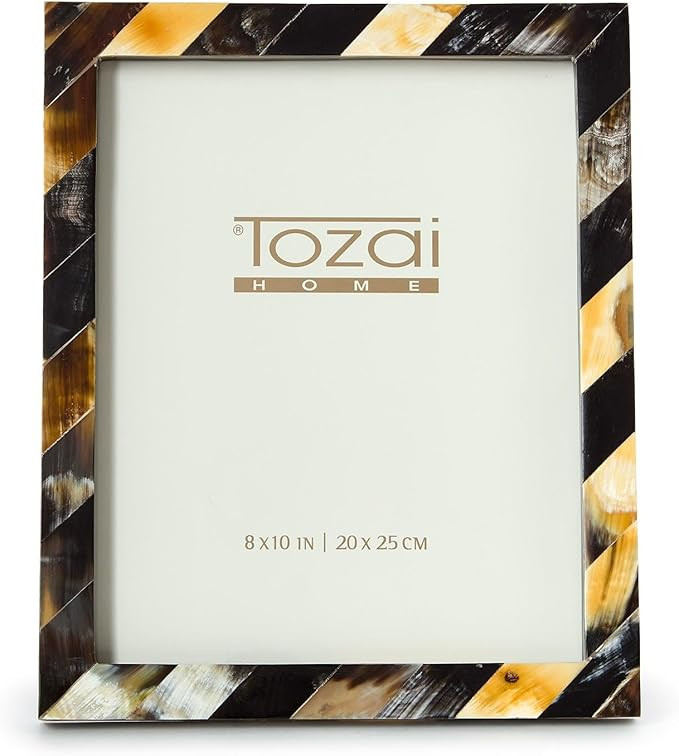 Two's Company Savoy Black Horn 8x10 Photo Frame, 11-Inch | Amazon (US)