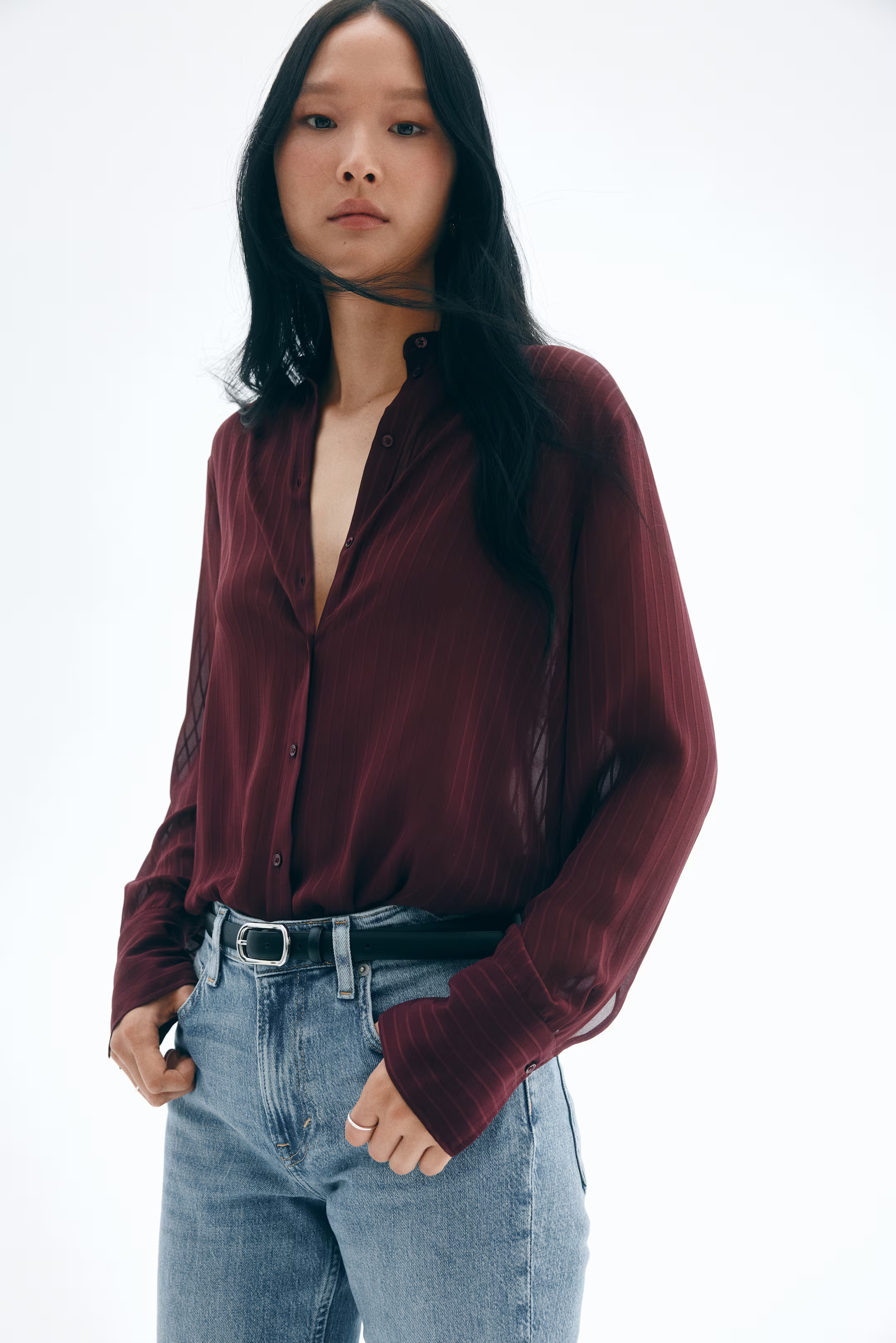 Sheer Blouse | H&M (US + CA)