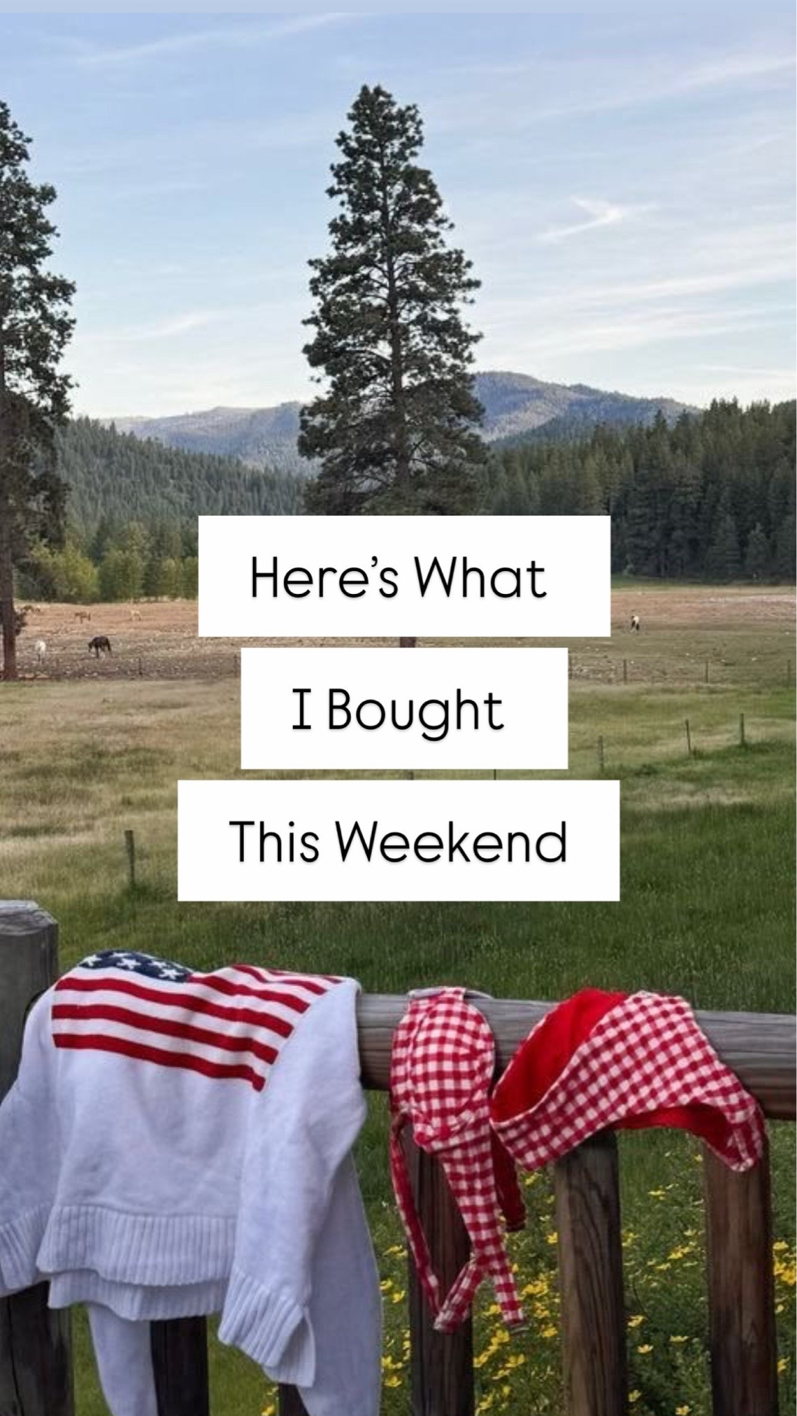 everything I bought over the weekend