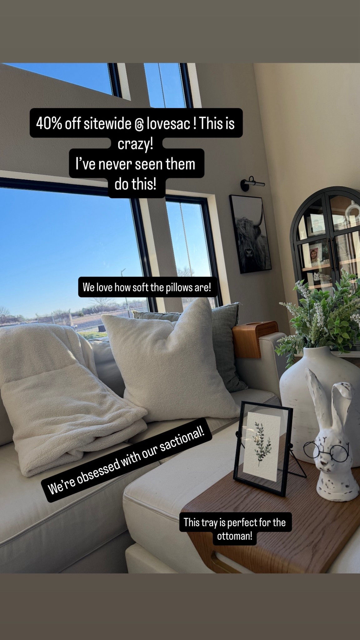 This is an insane deal! We love all of the @lovesac items we own! We get so many compliments on our sactional! We added these adorable & soft pillows from
Lovesac and I’m obsessed! 



#LTKSaleAlert #LTKHome