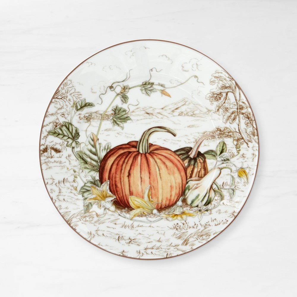 Plymouth Pumpkin Salad Plates | Williams-Sonoma
