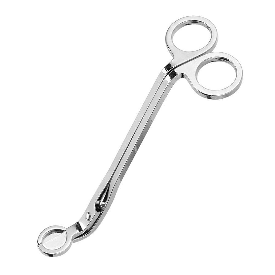 Candle Wick Trimmer, Wick Clipper Cutter Scissor (Silver) | Amazon (US)