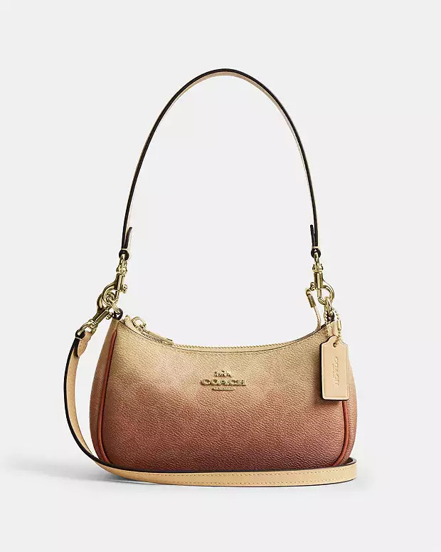 Teri Mini Crossbody Bag | Coach Outlet US