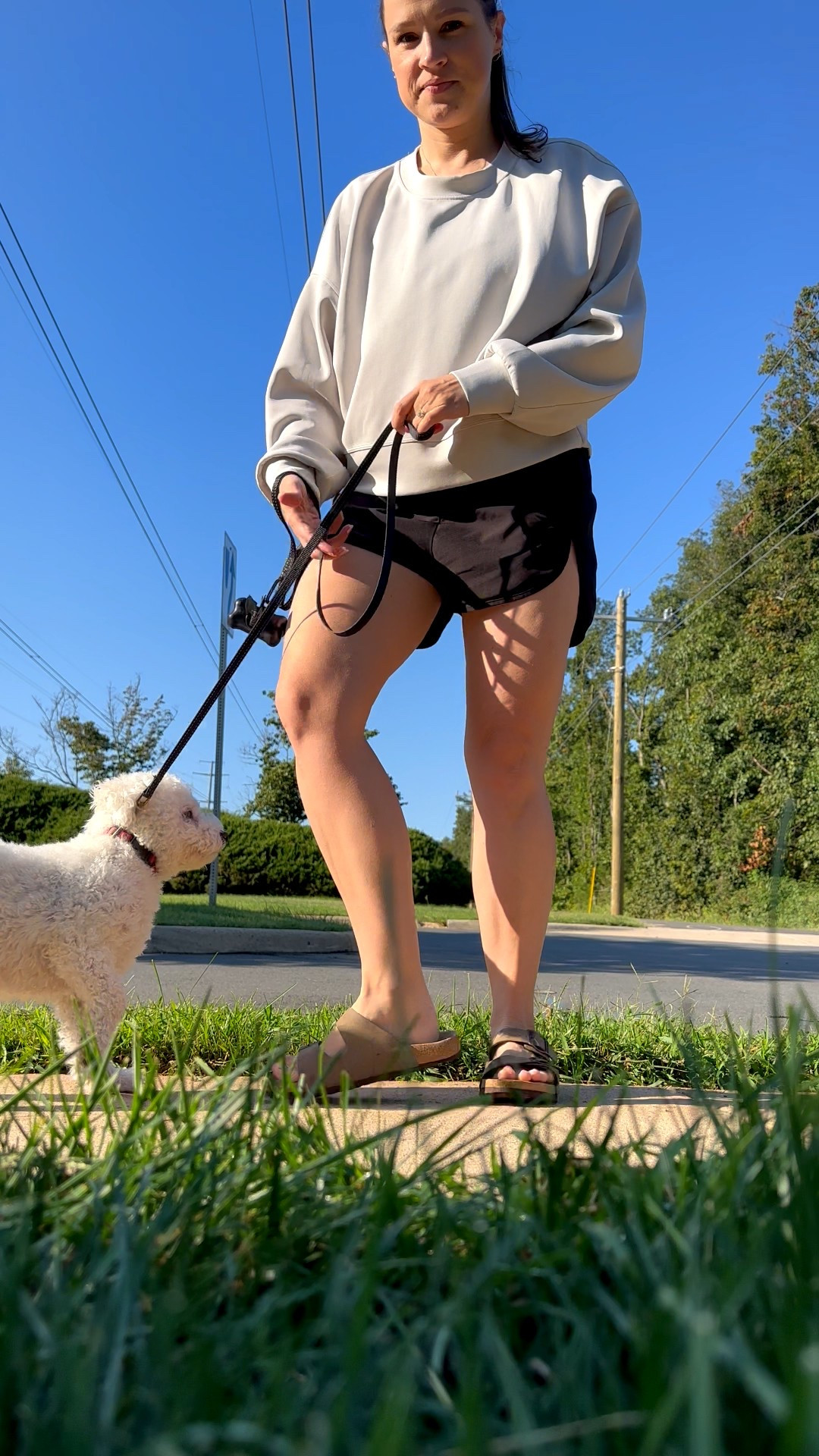 Perfect sunny morning dog walking outfit. Loving the slight chill in the air in the morning. Best time for my favorite combo - shorts and a sweatshirt :)

#LTKSeasonal