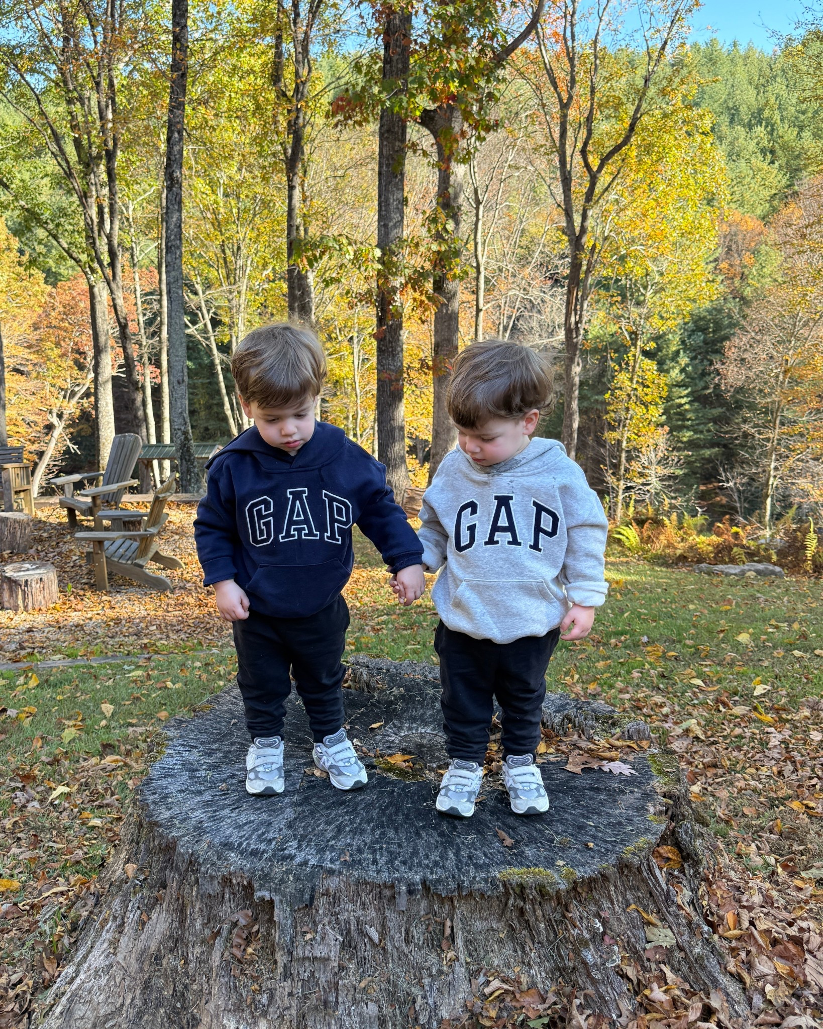 Got these GAP hoodies for Fall and ordered a size up! Perfect throw on for early morning walks with my boys  

#LTKFamily #LTKKids #LTKSeasonal