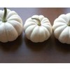 Click for more info about White Fall or Winter Wedding Thanksgiving 8 Small White Pumpkins for   Table Decor