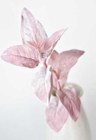 26" Pink Velvet Lamb's Ear Stem | Michaels | Michaels Stores