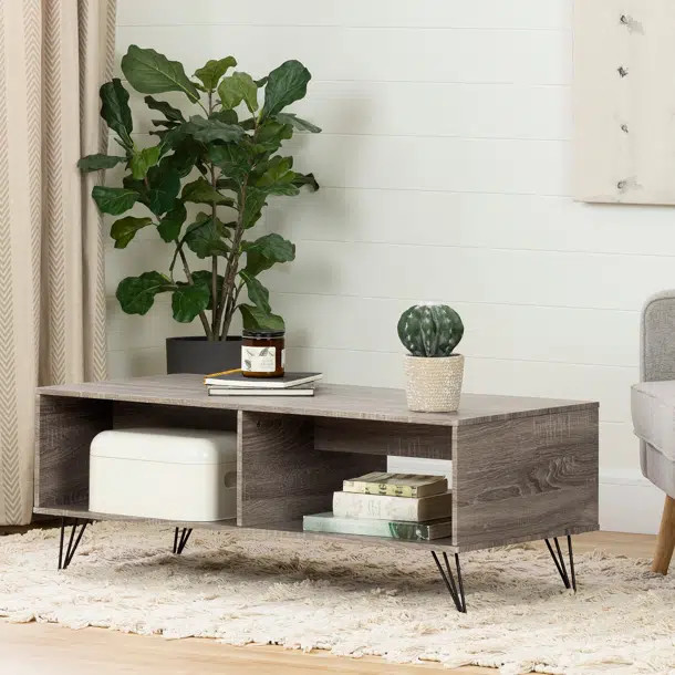 Evane Coffee Table | Wayfair North America