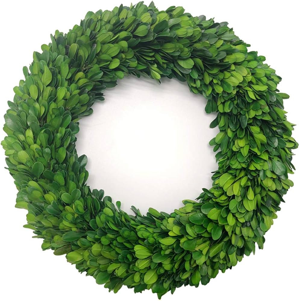 LMflorals Preserved Boxwood Wreath 12 Inch Wreath for Front Door Farmhouse Wedding Party Greenery... | Amazon (US)