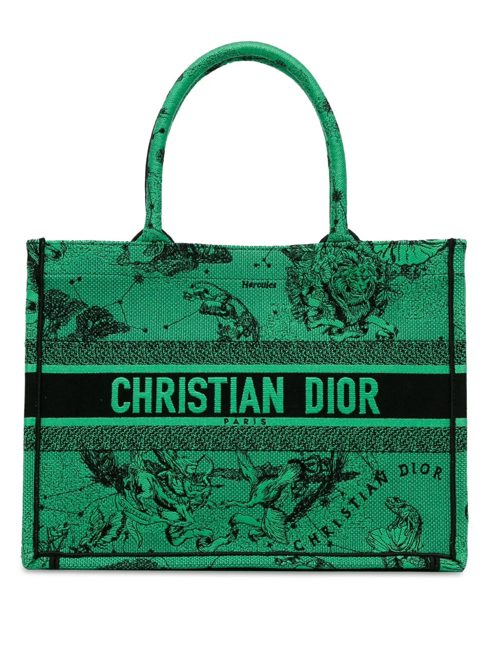 Christian Dior Pre-Owned 2021 Medium Embroidered Canvas Book tote bag - Green | Farfetch Global
