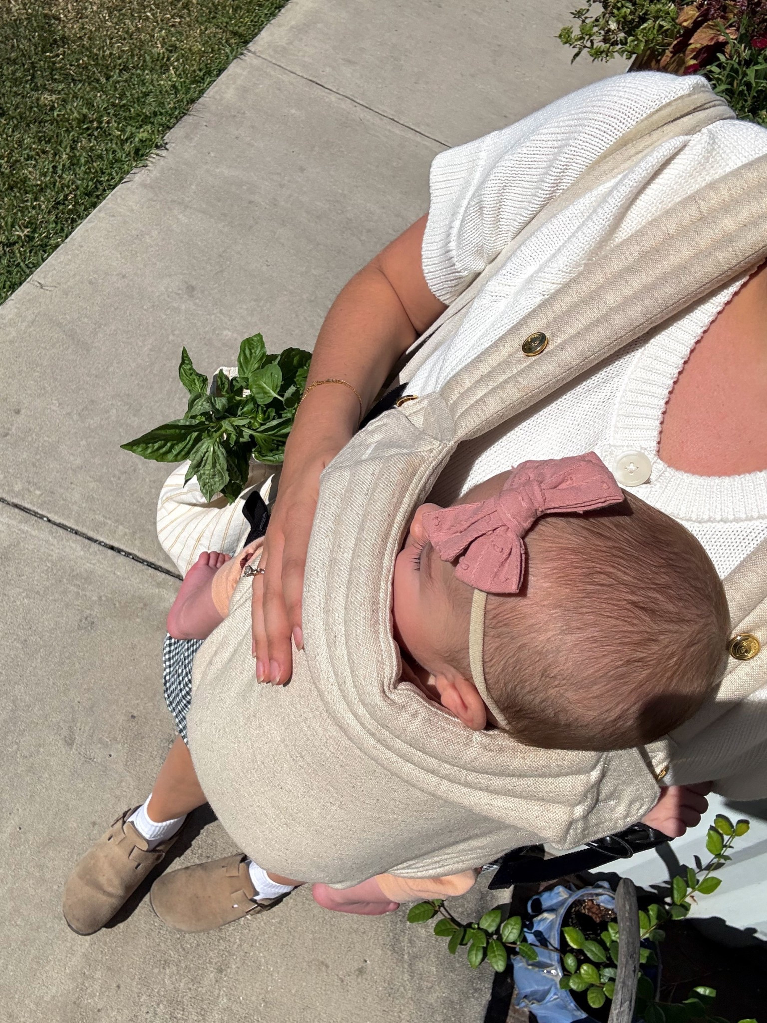 carrier is artipoppe!!! 

#LTKFindsUnder50 #LTKSeasonal #LTKFamily