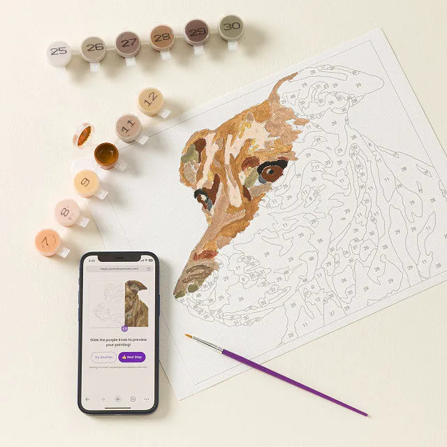 Paint Your Pet By Number Portrait Kit | UncommonGoods